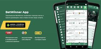 Exploring the Features of BetWinner Online Casino