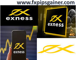 An In-Depth Look at Exness Forex Broker Features and Services