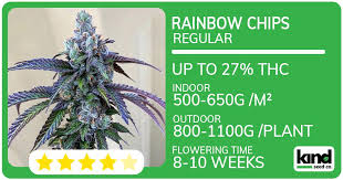 Cannabis Seeds Kentucky Your Comprehensive Guide to Growing in the Bluegrass State