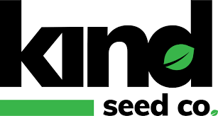 Discovering Quality and Affordable Options for Cheap Cannabis Seeds